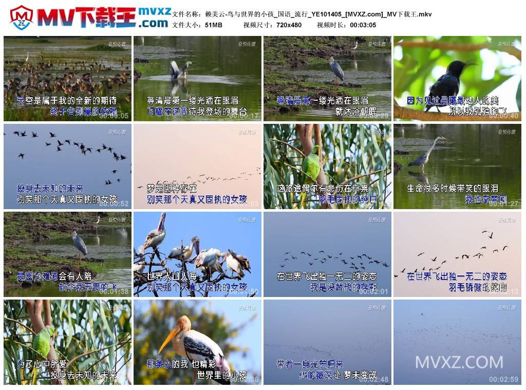 赖美云-鸟与世界的小孩_国语_流行_YE101405